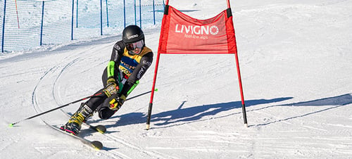 FIS TELEMARK WORLD CUP