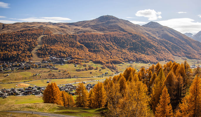 COLOURS, SCENTS AND FLAVOURS OF AUTUMN IN LIVIGNO