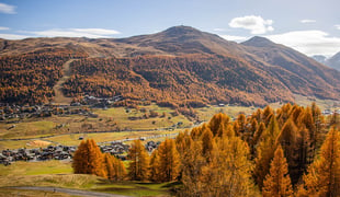 COLOURS, SCENTS AND FLAVOURS OF AUTUMN IN LIVIGNO