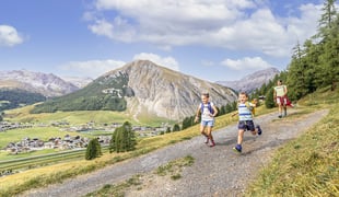 ANIMALS AND NATURE: AN IDYLLIC COMBINATION IN LIVIGNO