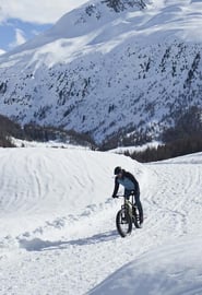 card-fat-bike