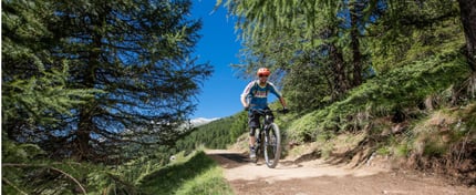 bike transalp